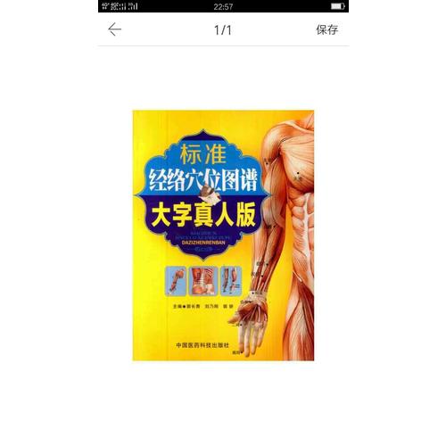 標準經絡穴位圖譜（大字真人版）