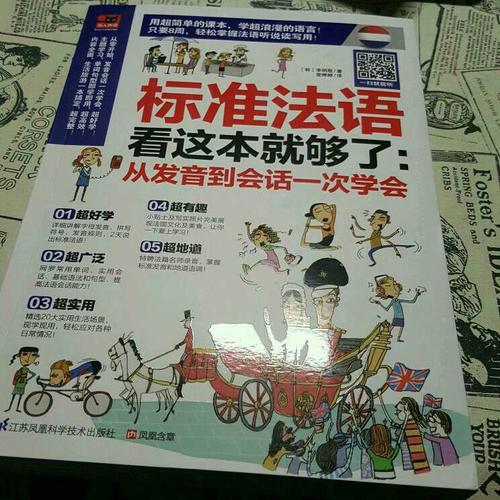 標準法語看這本就夠了
