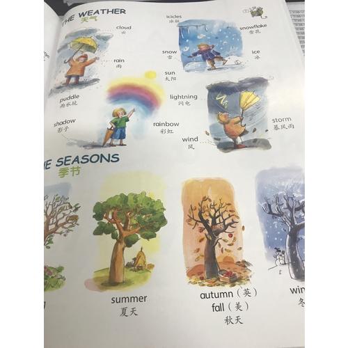 英語單詞圖畫書（附音頻）