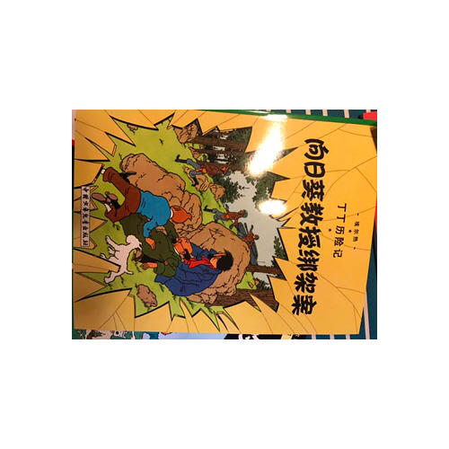 丁丁歷險記·大開本經典收藏版（全集22冊）