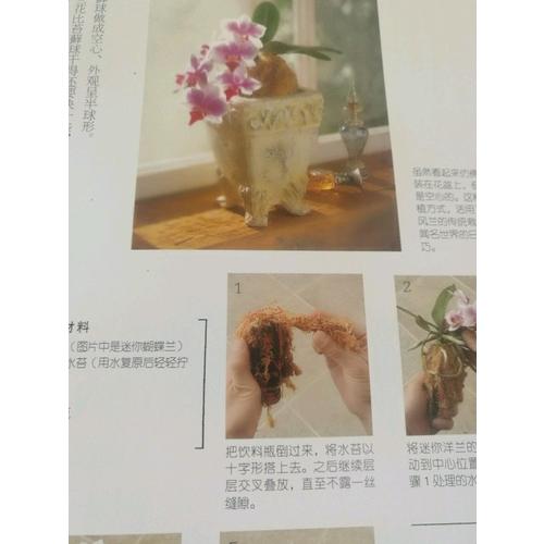 最基礎(chǔ)的10種樹(shù)形盆景