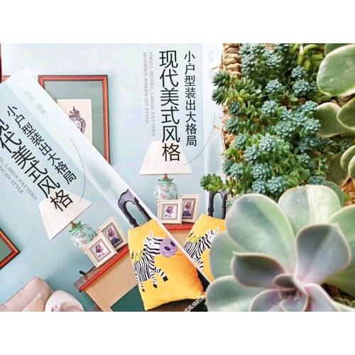 小戶型裝出大格局·現(xiàn)代美式風格