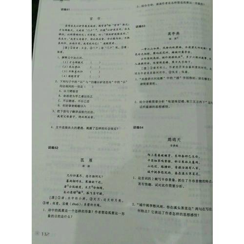 現代文與文言文閱讀答題技巧詳講精練·七年級