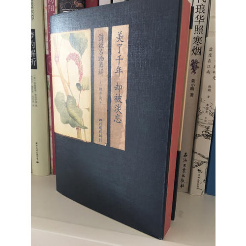 美了千年，卻被淡忘：詩經(jīng)名物圖解