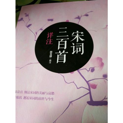 宋詞三百首詳注