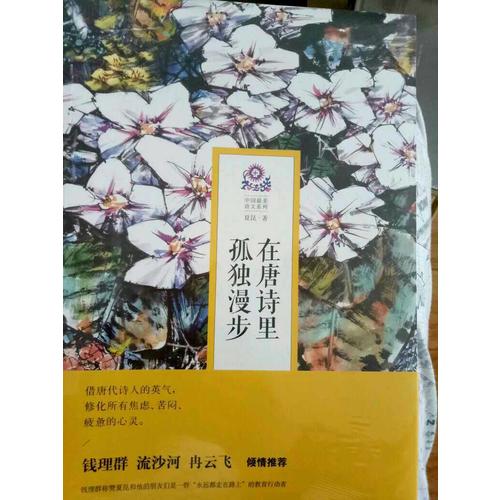 在唐詩里孤獨漫步