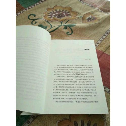 追風箏的人