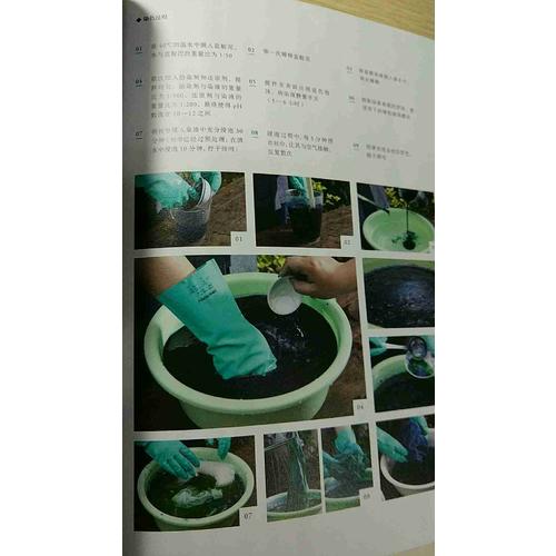 戀戀植物染