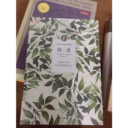 簡(jiǎn)愛(ài)