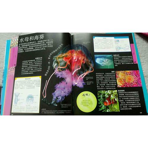 DK兒童海洋百科全書