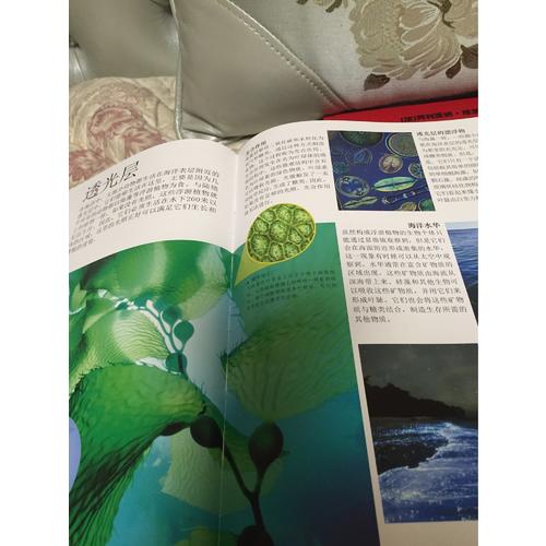 DK兒童海洋百科全書