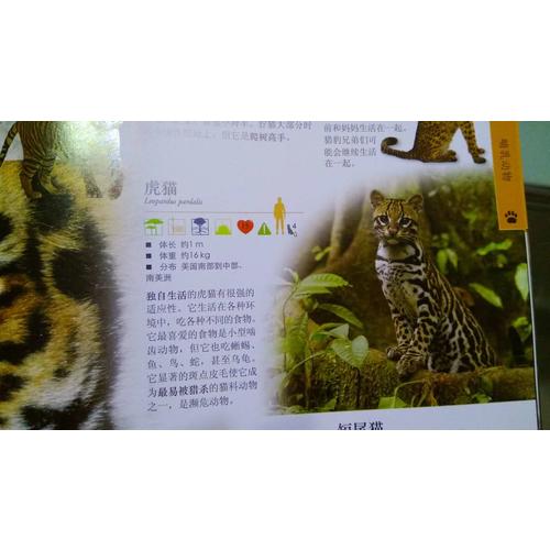 DK兒童百科全書系列超值禮品套裝（全5冊）