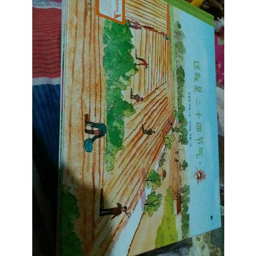這就是二十四節氣（文津圖書獎獲獎繪本，共4冊）