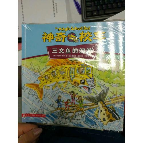 神奇校車·手工益智版（全8冊(cè)）