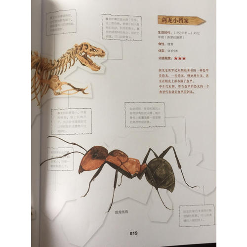 男孩的冒險書（少兒繪圖版·全三冊）