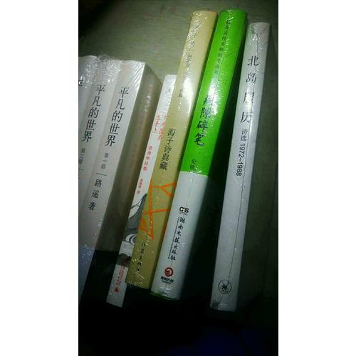 月光落在左手上：余秀華詩集