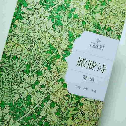 朦朧詩精編