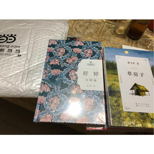 舒婷詩精編：名家經典詩歌系列