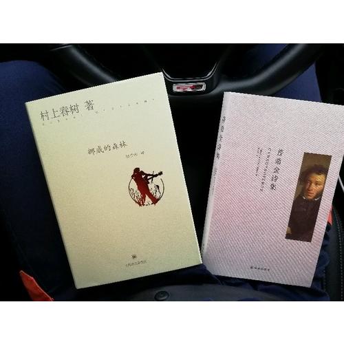 普希金詩集