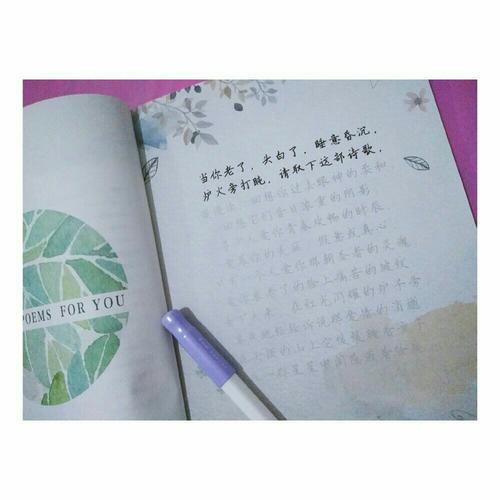 為你寫下情書的每一頁