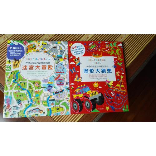 神奇的專注力訓練游戲書(全四冊)