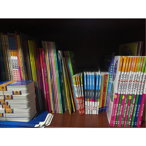 美國經典專注力培養大書（幼兒版）