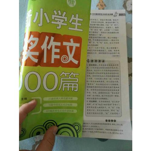 小學生作文獲獎1000篇