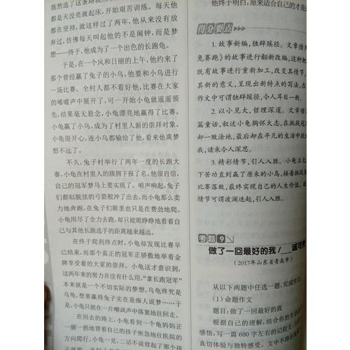 近期五年中考滿分作文大全