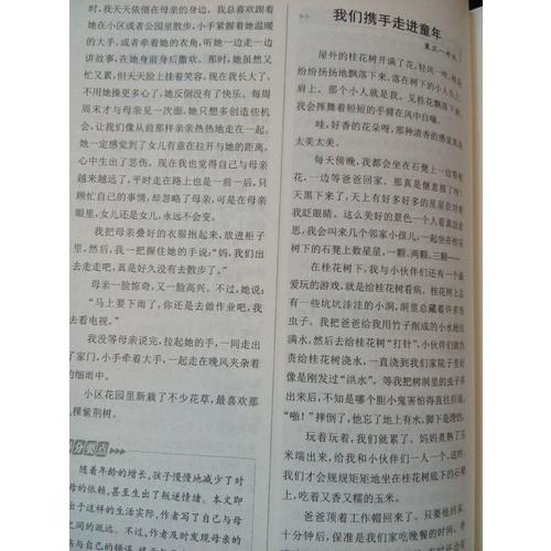 近期五年中考滿分作文大全
