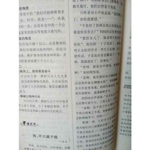 近期五年中考滿分作文大全