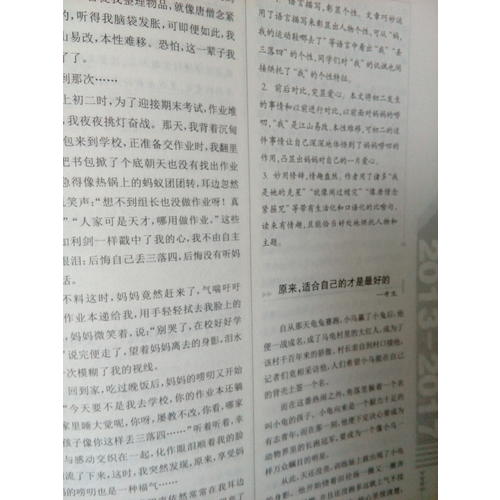 近期五年中考滿分作文大全