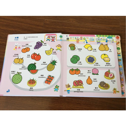 0-4歲幼兒認知小百科（全5冊）
