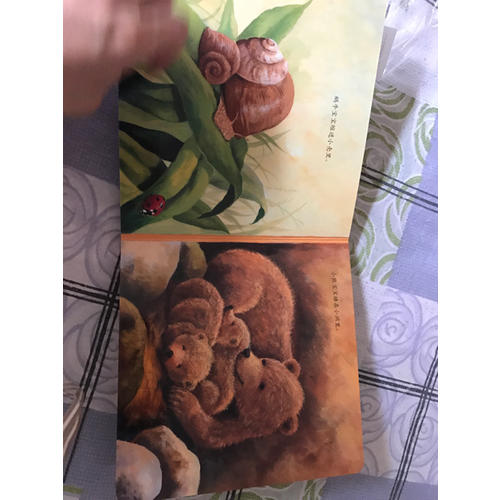 寶寶的及時本睡前認知書·晚安，寶貝