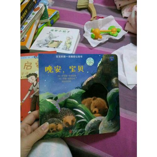 寶寶的及時本睡前認知書·晚安，寶貝