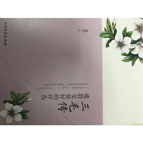 三毛傳：流浪是好的療傷