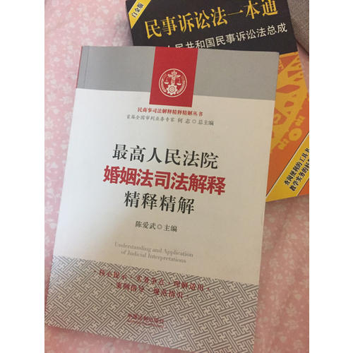 人民法庭民事審判實(shí)務(wù)問答