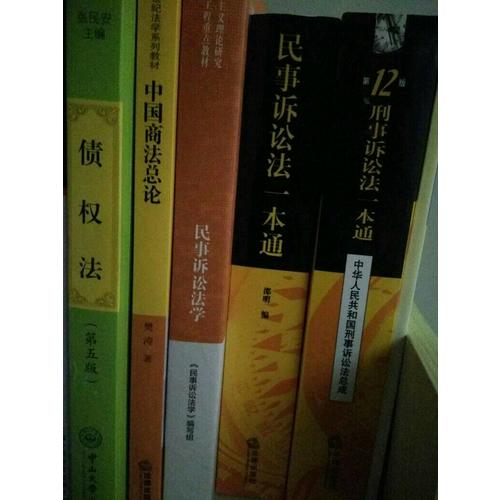 民事訴訟法一本通：中華人民共和國民事訴訟法總成（白金版）