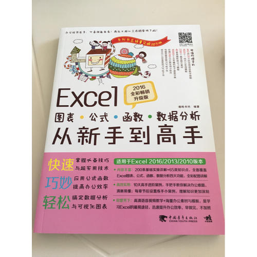 Excel圖表/公式/函數/數據分析從新手到高手