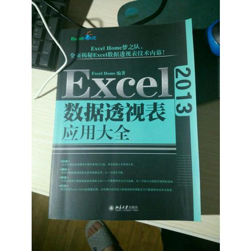 Excel 2013數據透視表應用大全