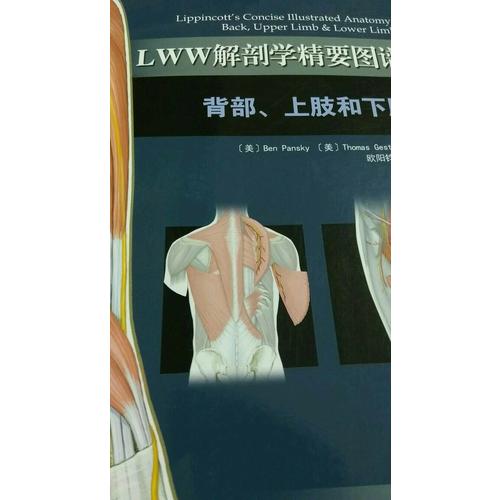 LWW解剖學精要圖譜·背部上肢和下肢