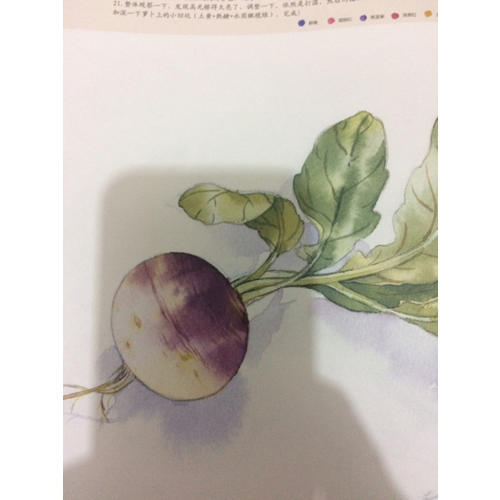 繪森活·水彩私享課
