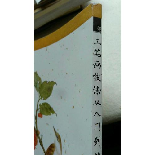 工筆畫(huà)技法從入門(mén)到精通