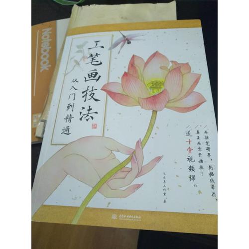 工筆畫(huà)技法從入門(mén)到精通