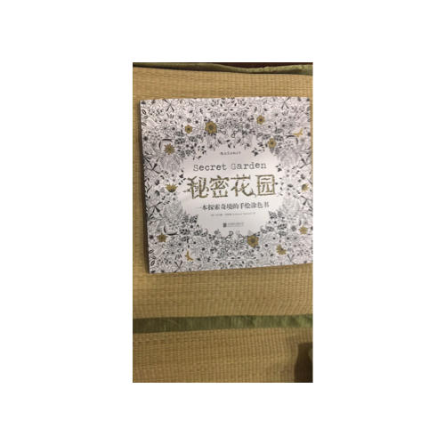 秘密花園：一本探索奇境的手繪涂色書