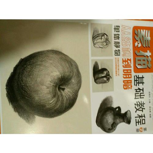 素描基礎(chǔ)教程.從結(jié)構(gòu)到明暗2.單體靜物