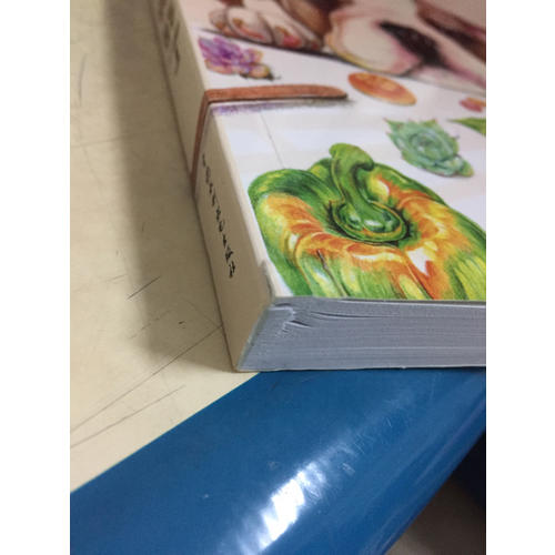 色鉛筆繪畫入門一本就夠了