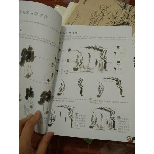 國畫技法從入門到精通