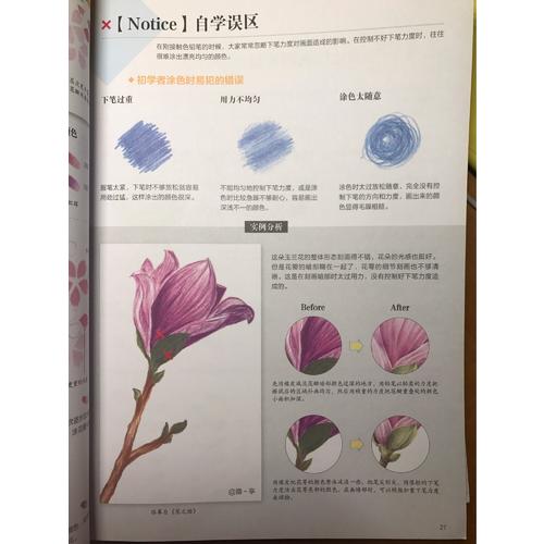 色鉛筆自學圣經