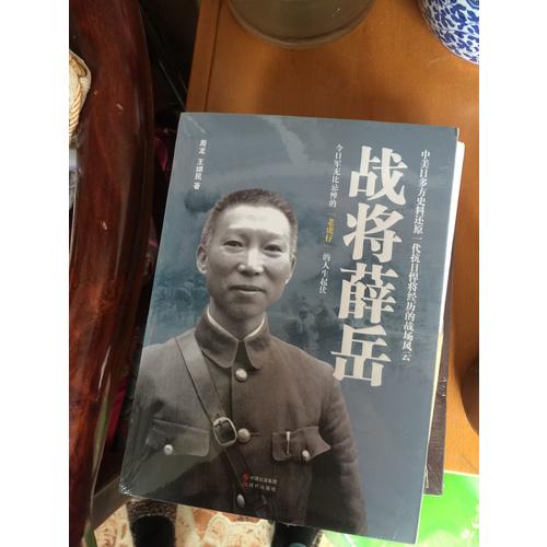 戰(zhàn)將薛岳