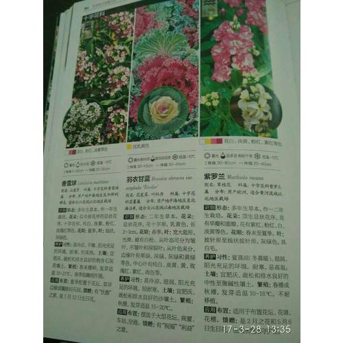 花草樹(shù)木圖鑒大全（修訂典藏版）